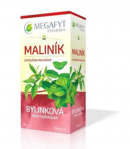 Megafyt Bylinková lékárna Maliník 20x1