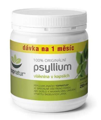 Topnatur Psyllium 250 kapslí Topnatur