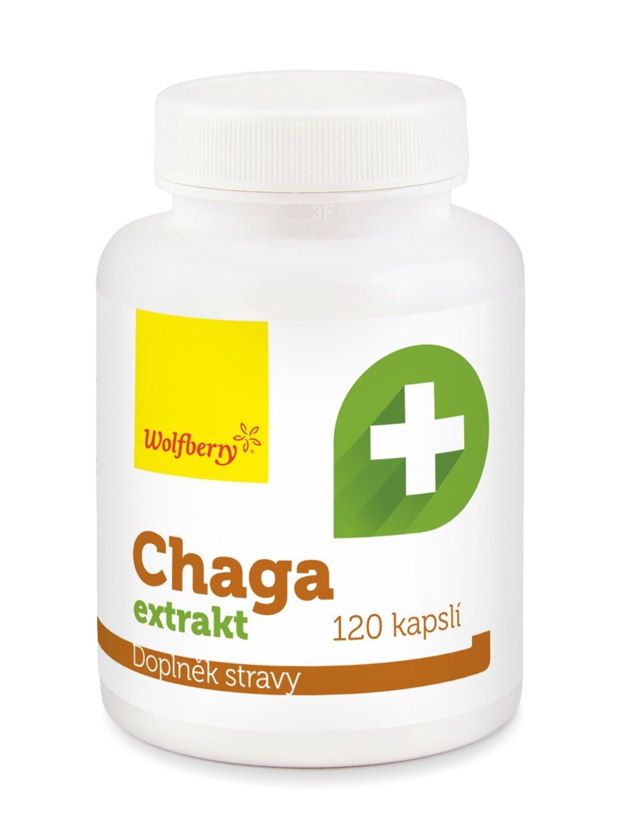 Wolfberry Chaga extrakt 120 kapslí Wolfberry