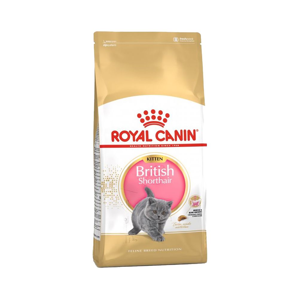 Royal Canin British shorthair kitten granule 10 kg Royal Canin