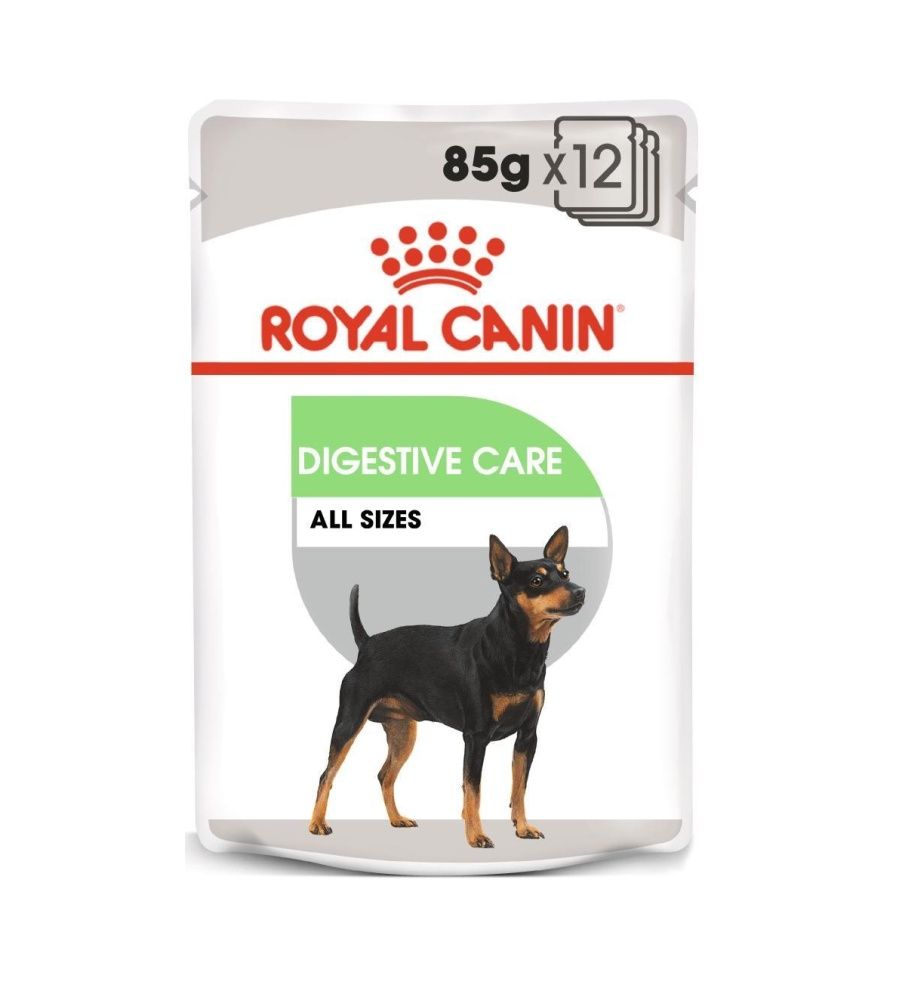 Royal Canin Wet digestive care kapsička 12x85 g Royal Canin