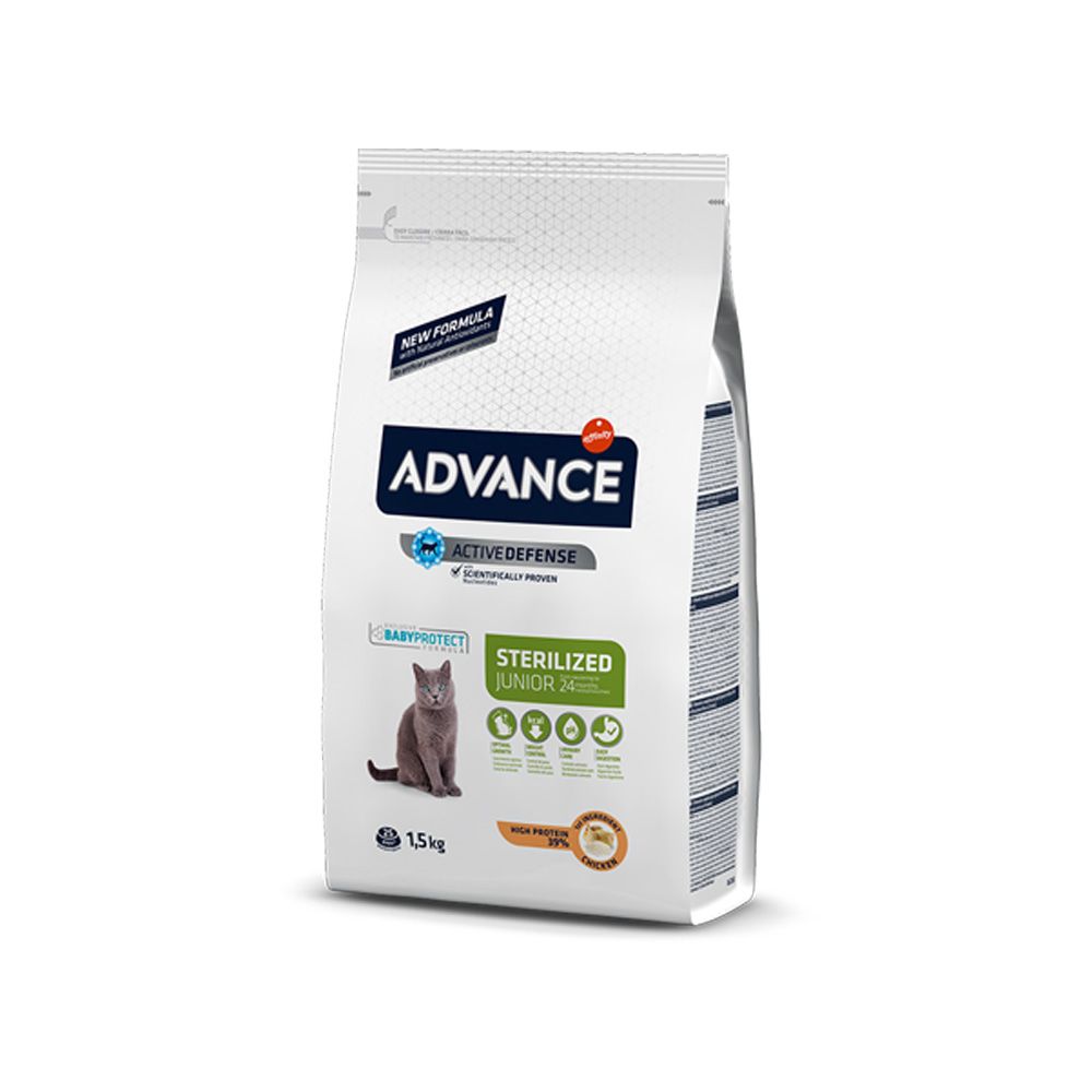 Advance Cat Young sterilized 1