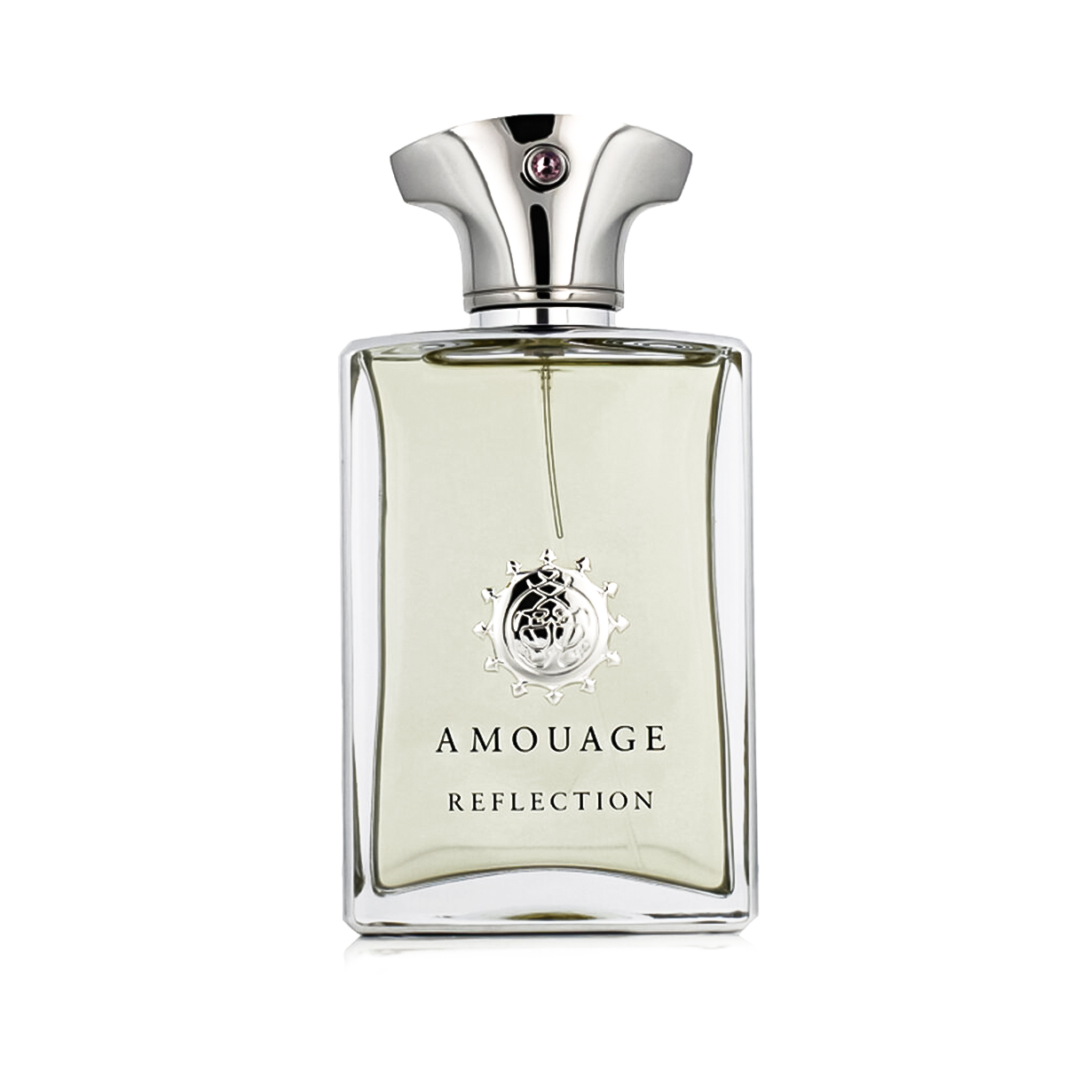 Amouage Reflection Man EDP 100 ml M (Nový obal) Amouage