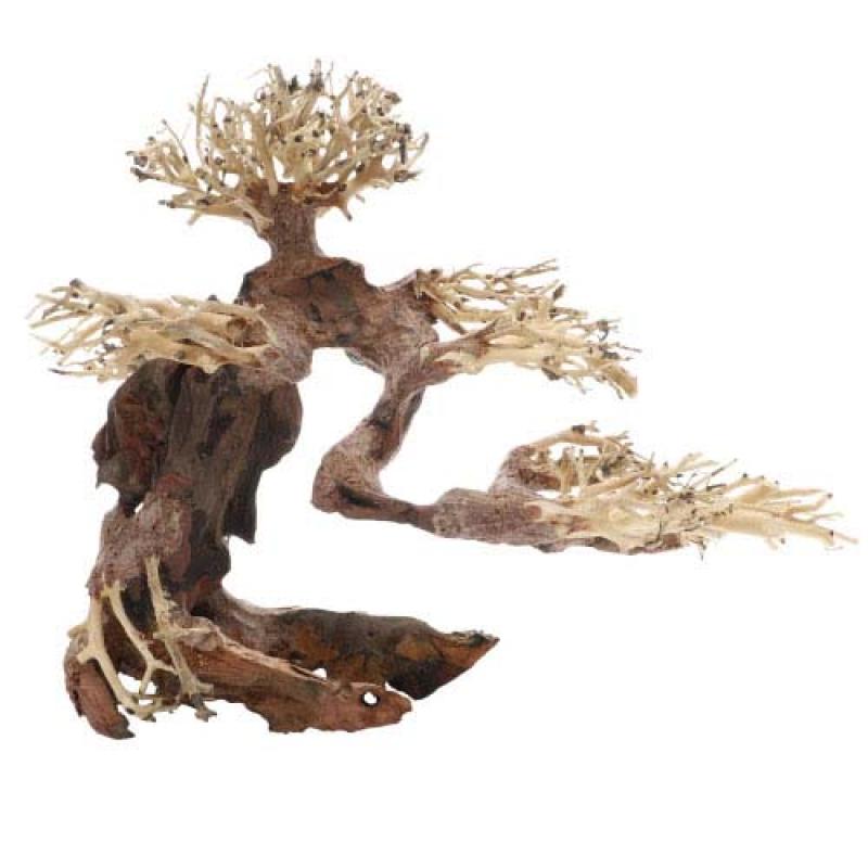 Dupla Bonsai M -Přírodní dřevěná dekorace do sladkovodního akvária 30x15x23 cm Dupla