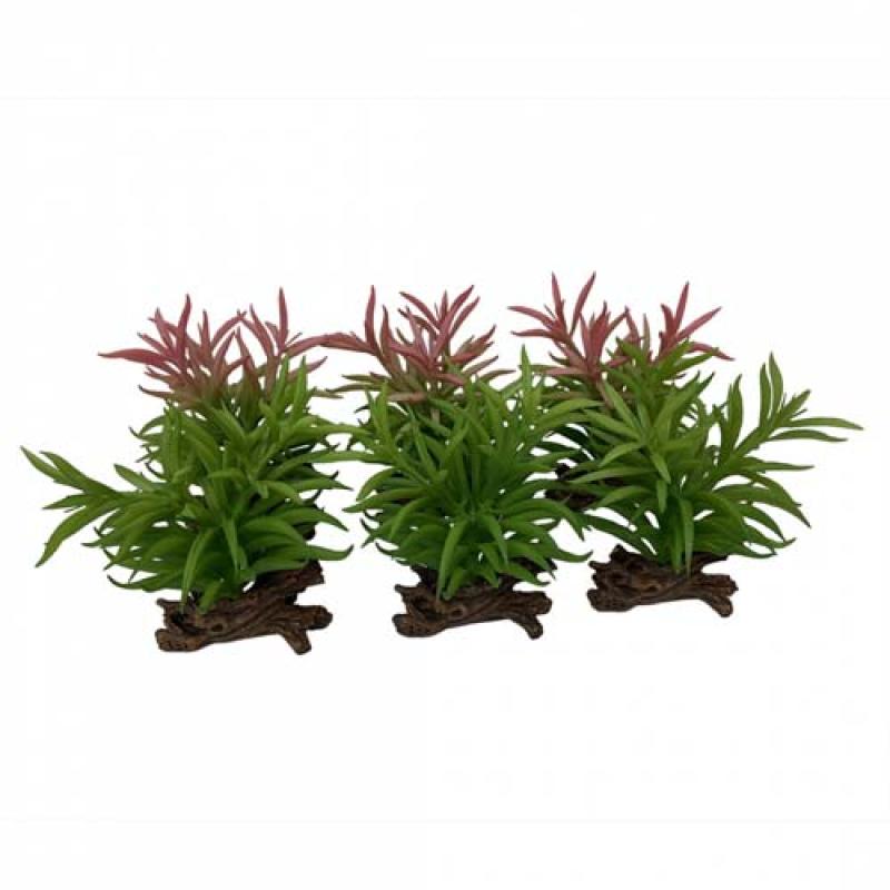 Ebi TERRA DELLA Rostlina umělá CRASSULA M mix farby 16cm 1ks Ebi