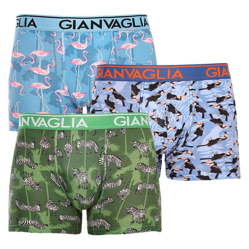 Gianvaglia 3PACK pánské boxerky vícebarevné (GVG-5501) M Gianvaglia