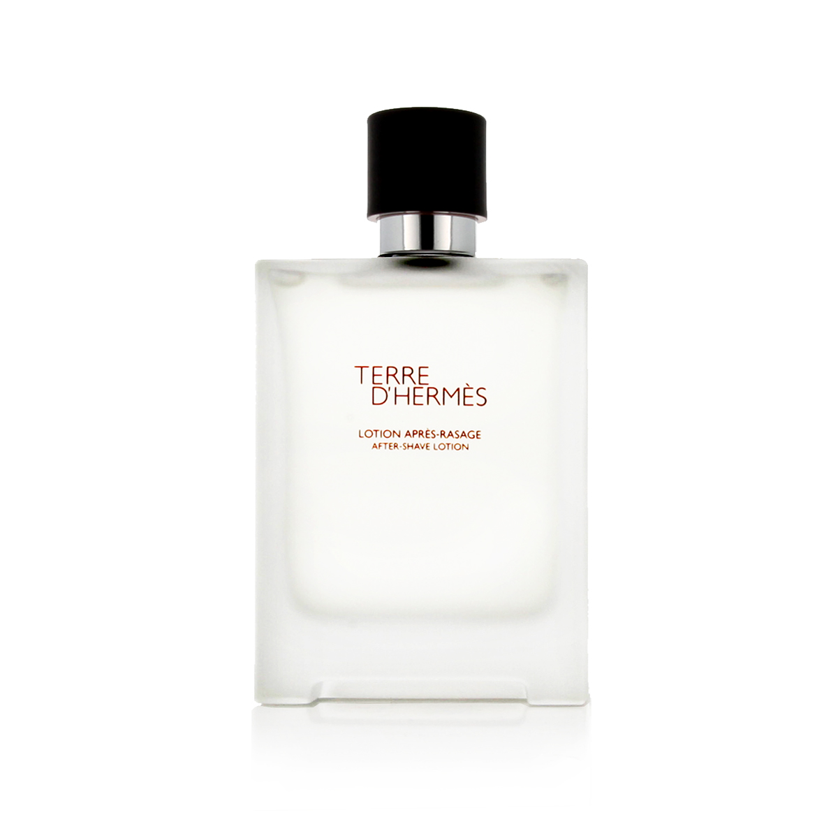 Hermès Terre D' AS 100 ml M (Nový obal) Hermès