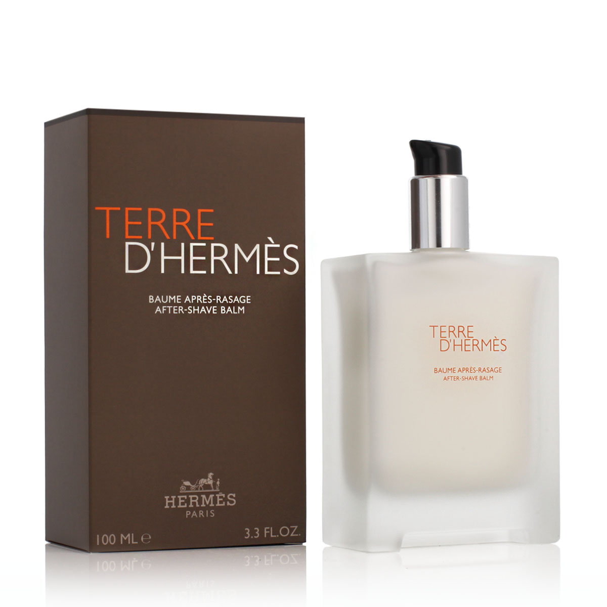 Hermès Terre D' ASB 100 ml M (Nový obal) Hermès