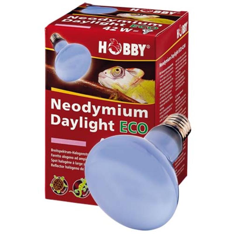 Hobby Neodymium Daylight ECO 42W -denní halogenové světlo Hobby