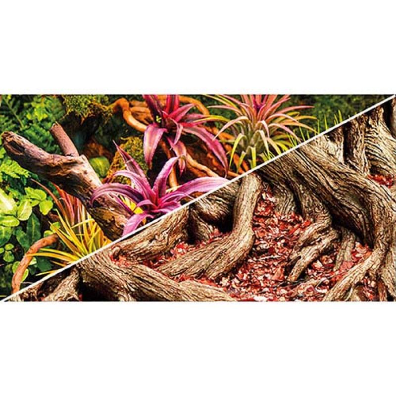 Hobby Pozadí oboustranné Jungle / Strangler Fig 30cm x 25m Hobby