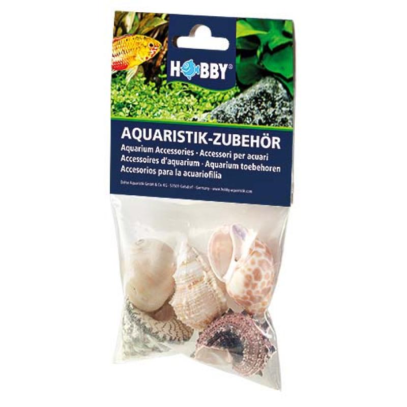 Hobby Sea Shells Set L 5ks- dekorace do akvária Hobby