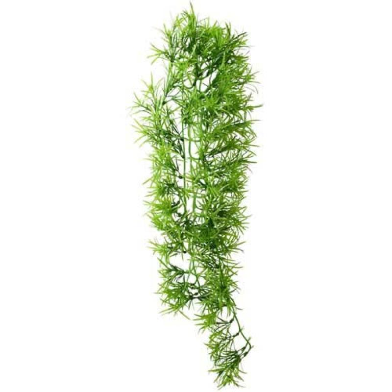 Hobby TROPICA popínavá rostlina dekorace do terária 70 cm Hobby